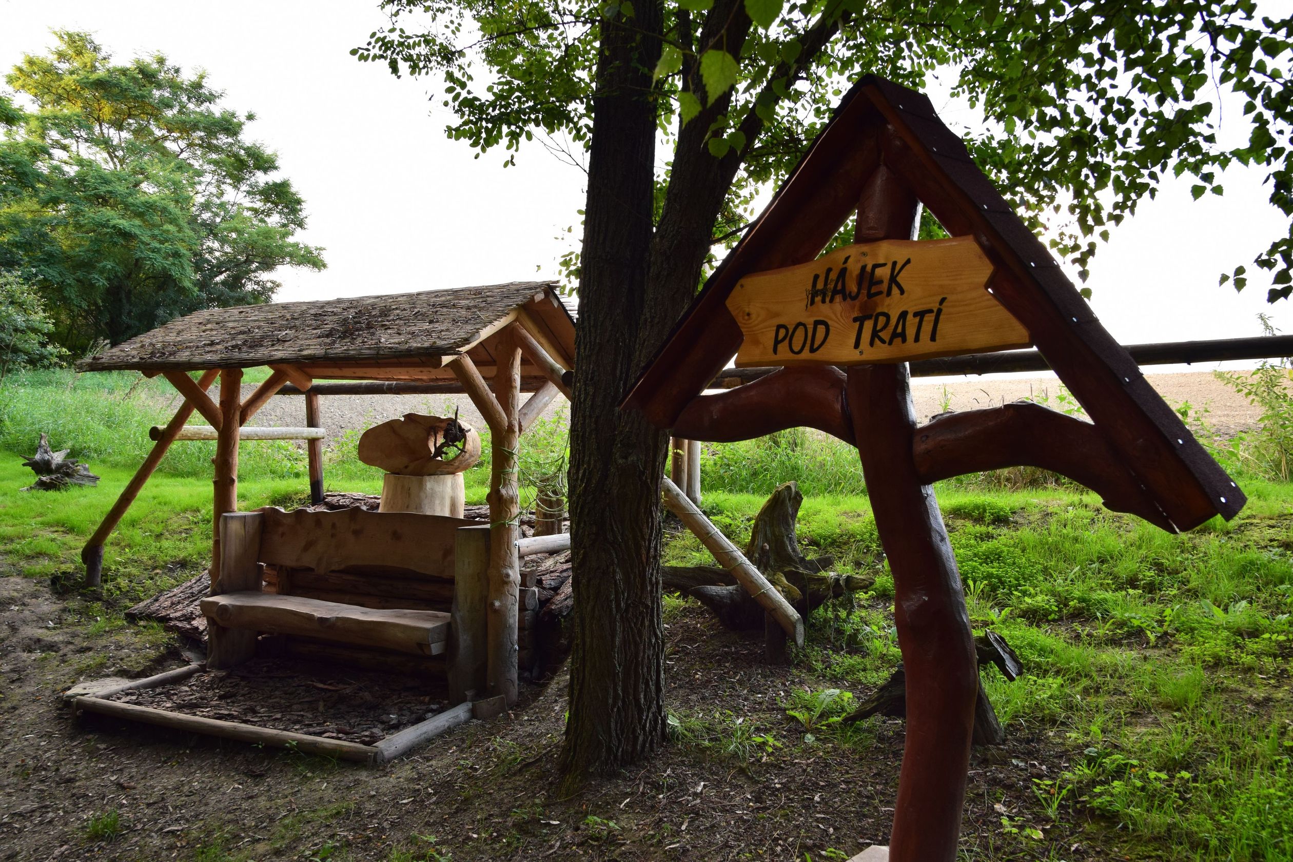 Hájek_pod_tratí_2016-08-15_3
