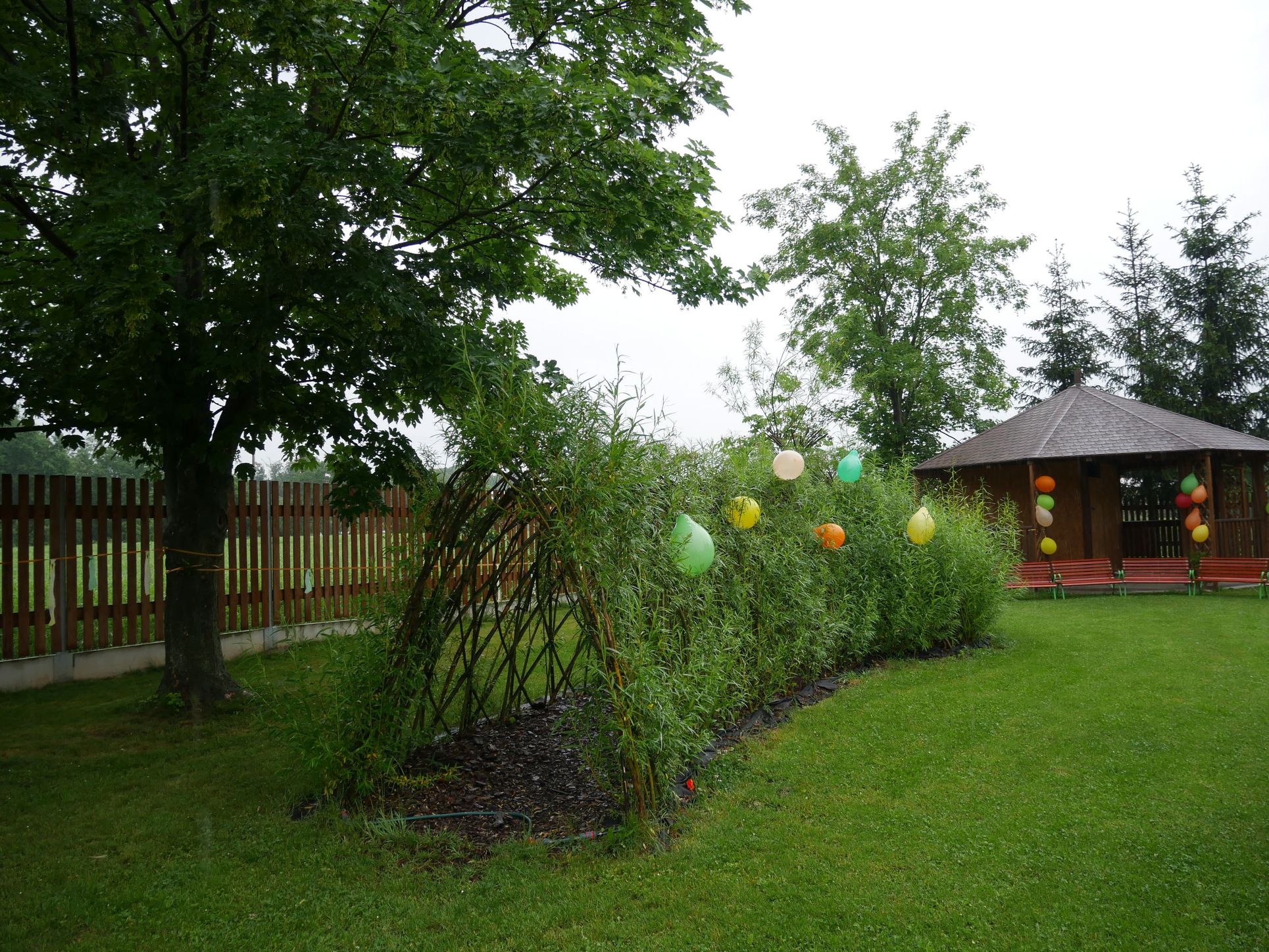 Materska_Skolka_Stankov_2018-05-24_14